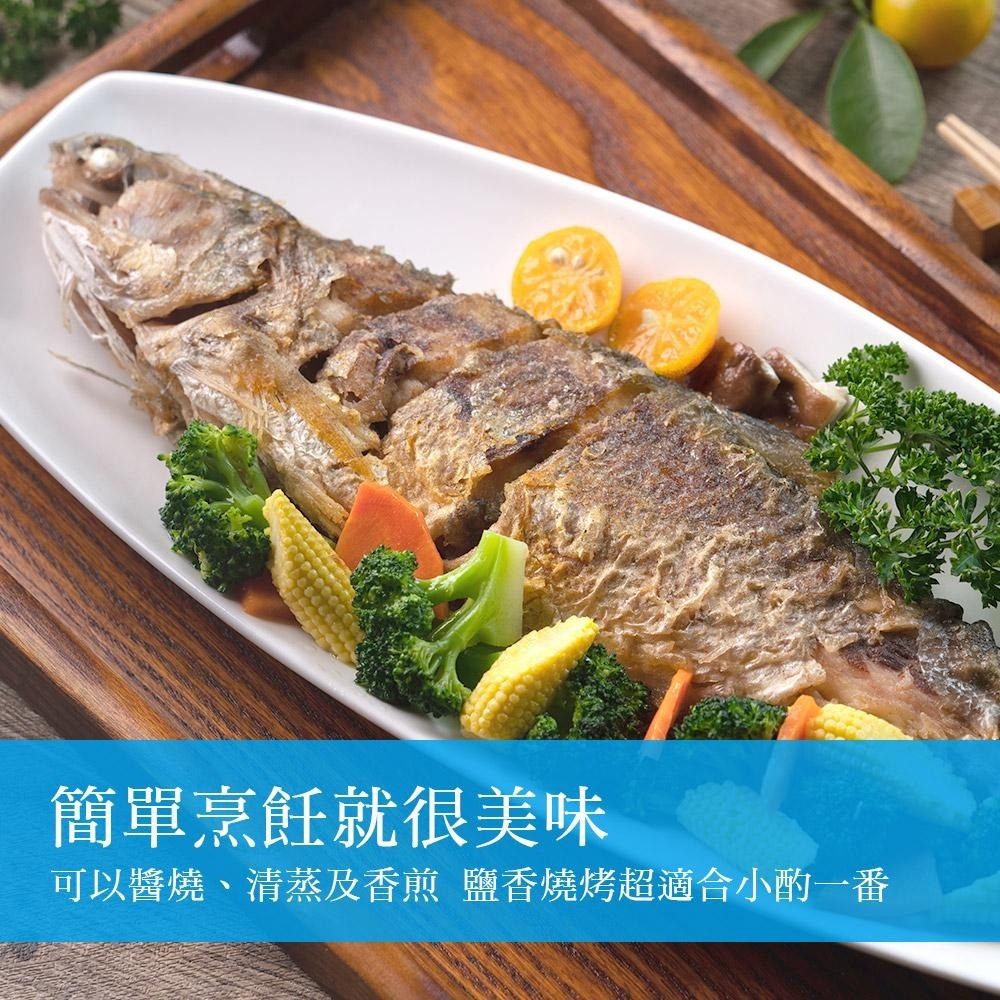 祥鈺水產｜特大尾午仔魚 台灣第一魚 600g/尾(未去除內臟整尾重量) 當日活體代殺  急速冷凍-細節圖8