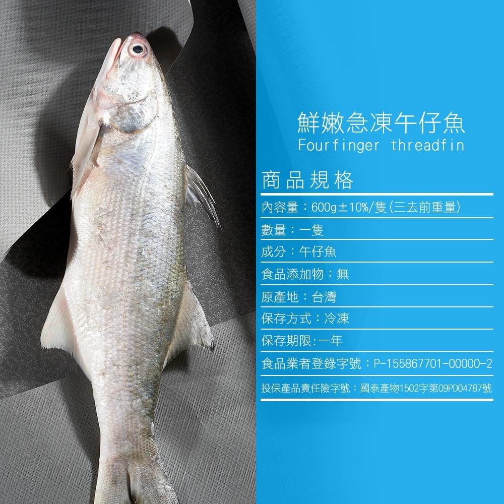 祥鈺水產｜特大尾午仔魚 台灣第一魚 600g/尾(未去除內臟整尾重量) 當日活體代殺  急速冷凍-細節圖9