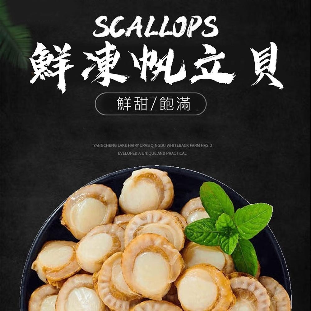 祥鈺水產｜鮮凍帆立貝 500g/包-細節圖3