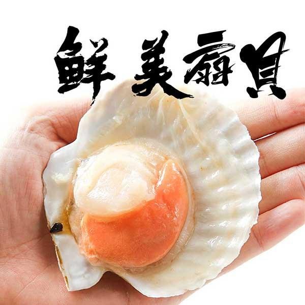 祥鈺水產｜鮮凍半殼扇貝 500g 內有5顆-細節圖3