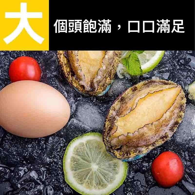 祥鈺水產｜活凍九孔鮑魚  約20顆-細節圖7