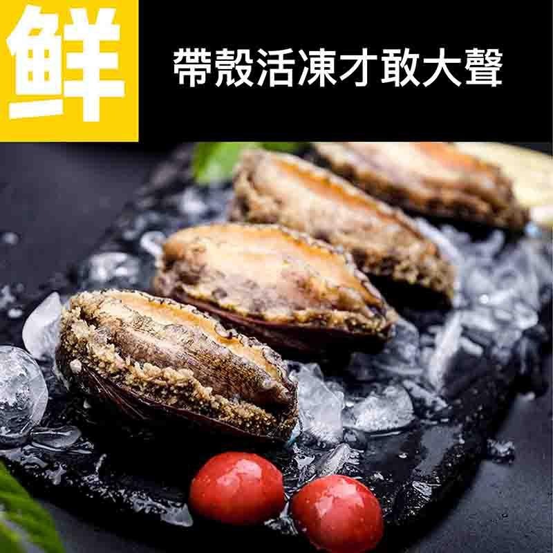 祥鈺水產｜活凍九孔鮑魚  約20顆-細節圖6