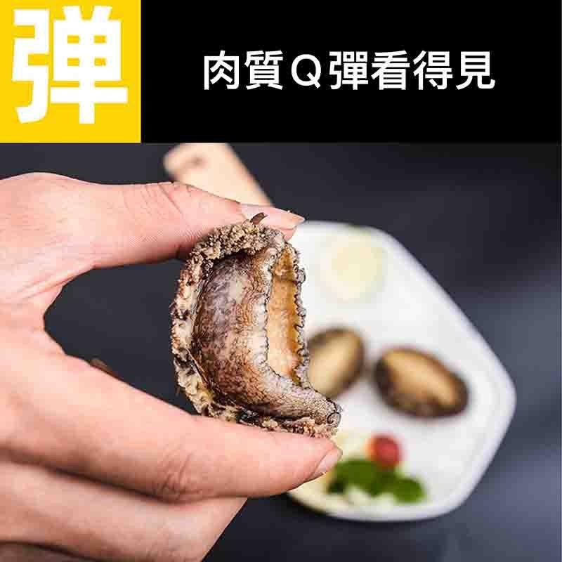 祥鈺水產｜活凍九孔鮑魚  約20顆-細節圖8