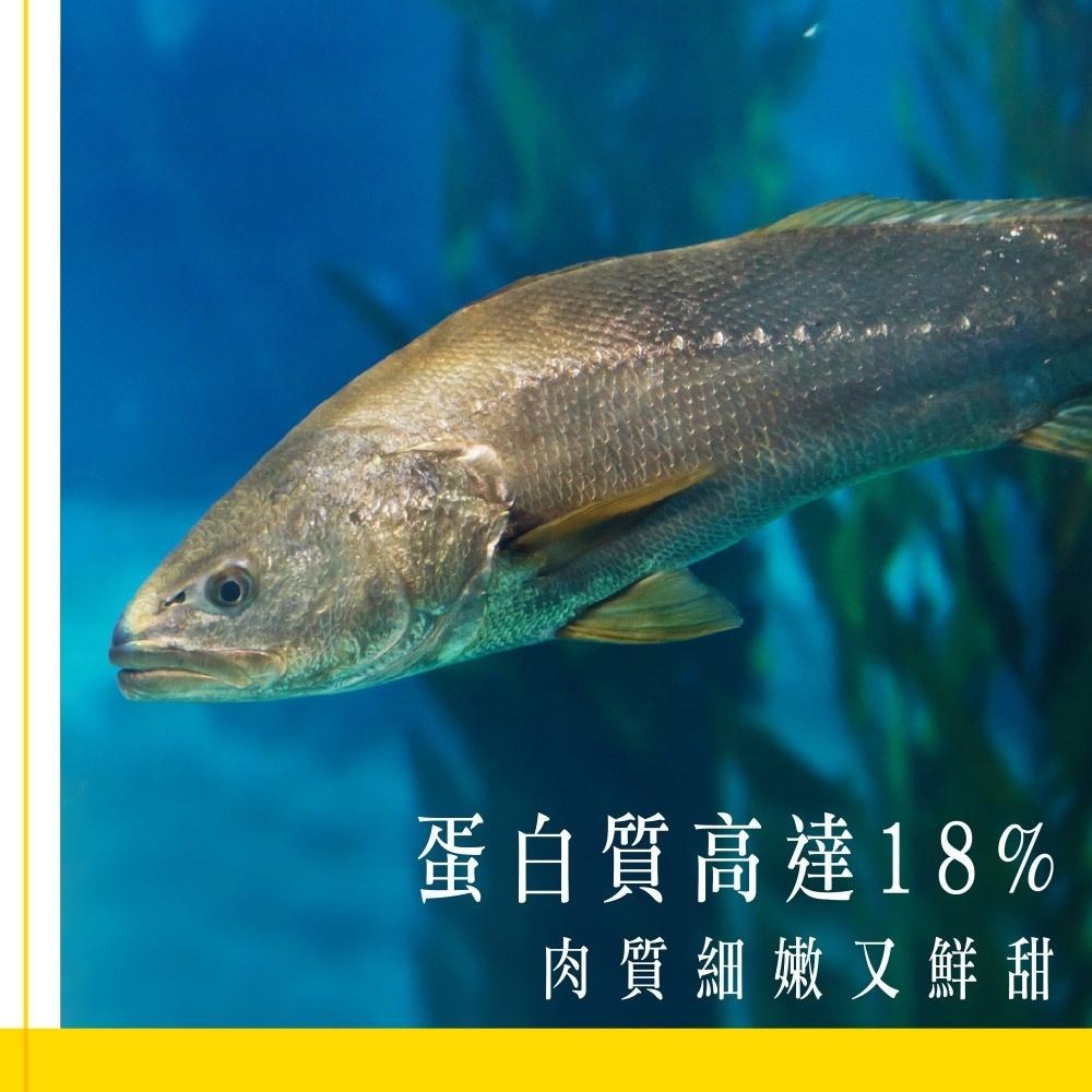 祥鈺水產｜金嫩急凍大黃魚  約600g~700g/尾-細節圖4