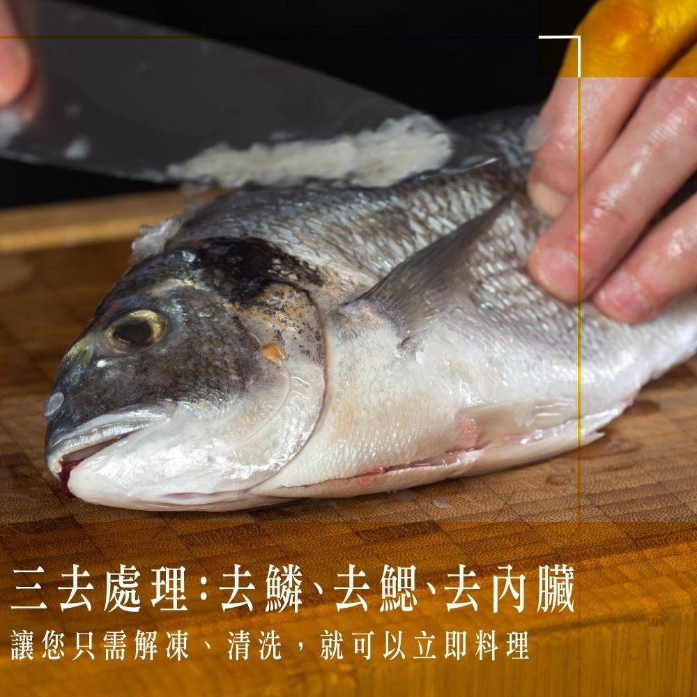 祥鈺水產｜金嫩急凍大黃魚  約600g~700g/尾-細節圖6