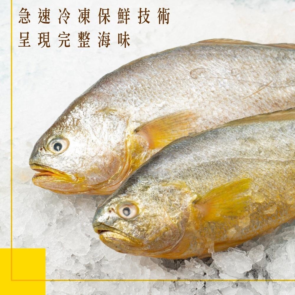 祥鈺水產｜金嫩急凍大黃魚  約600g~700g/尾-細節圖7