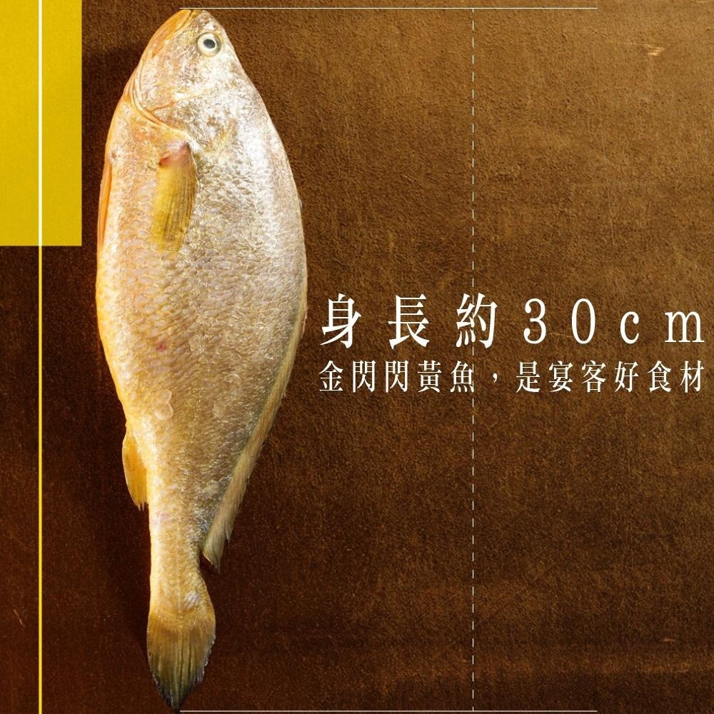 祥鈺水產｜金嫩急凍大黃魚  約600g~700g/尾-細節圖8