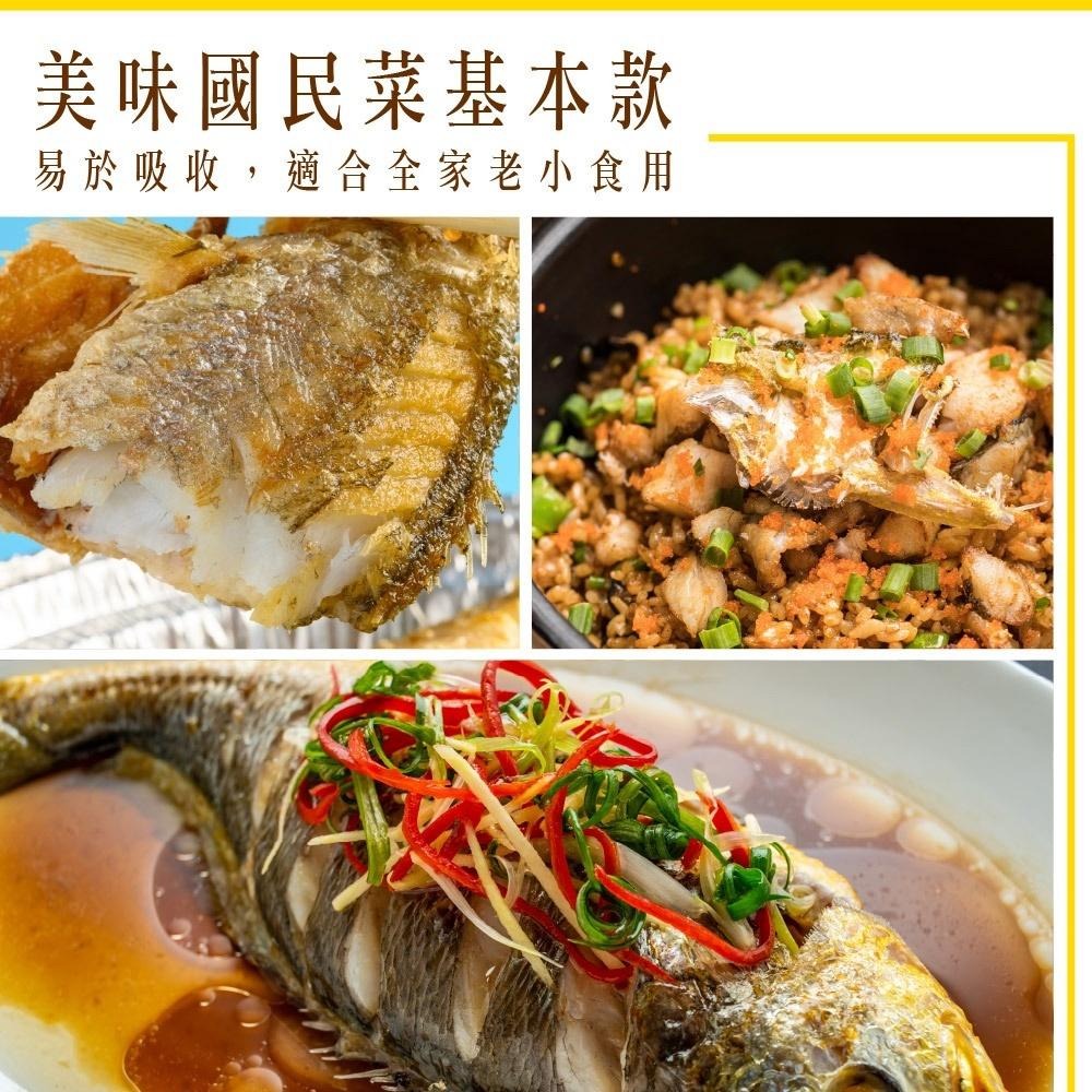 祥鈺水產｜金嫩急凍大黃魚  約600g~700g/尾-細節圖9