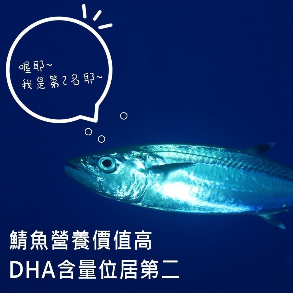 祥鈺水產｜挪威薄鹽鯖魚4公斤21片，單片190g±20克-細節圖5