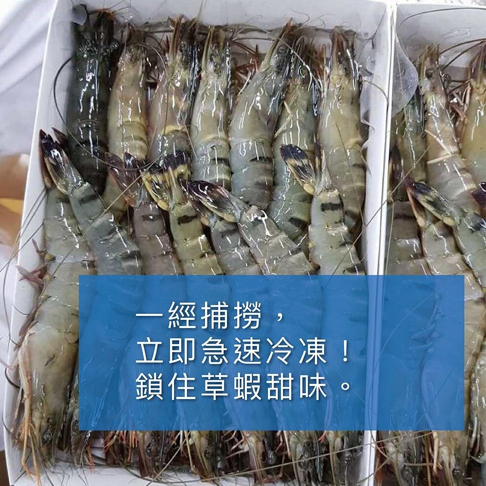 祥鈺水產｜ 手臂長野生海草蝦 約400克重 內有5尾(盒) 非一般市售300g-細節圖5