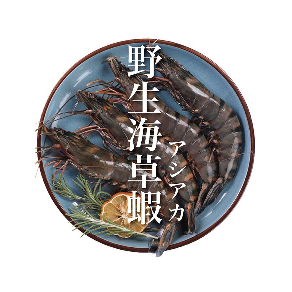 祥鈺水產｜ 手臂長野生海草蝦 約400克重 內有5尾(盒) 非一般市售300g-細節圖3