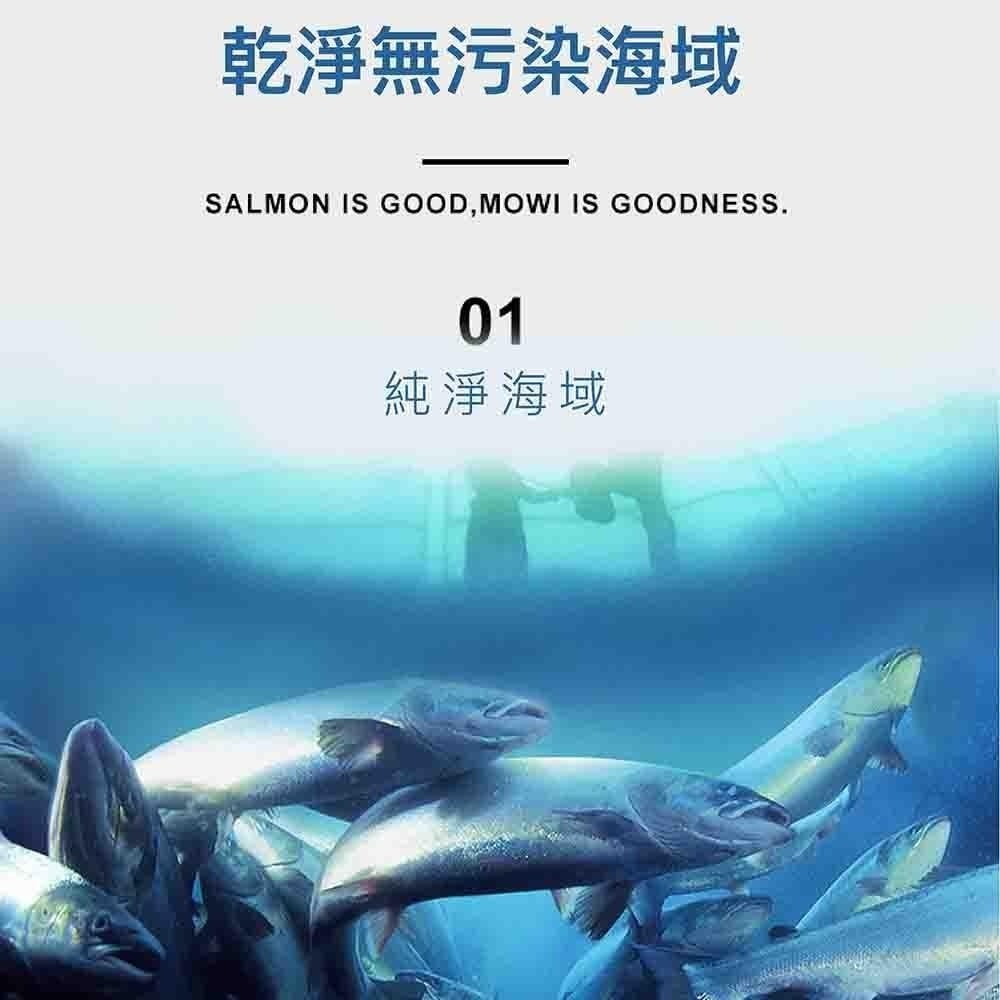 祥鈺水產｜手工低溫煙燻鮭魚  250g±10%/包-細節圖4