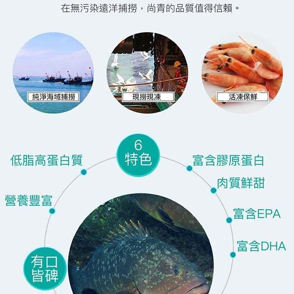 祥鈺水產｜台灣現撈石斑魚 1尾750g(未去除內臟整尾重量) 當日活體代殺  急速冷凍-細節圖4