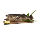 祥鈺水產｜台灣現撈石斑魚 1尾750g(未去除內臟整尾重量) 當日活體代殺  急速冷凍-規格圖5