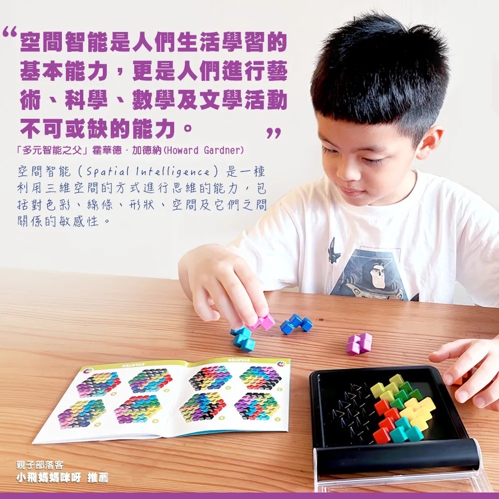 【SMART GAMES 】IQ 消波塊-細節圖3