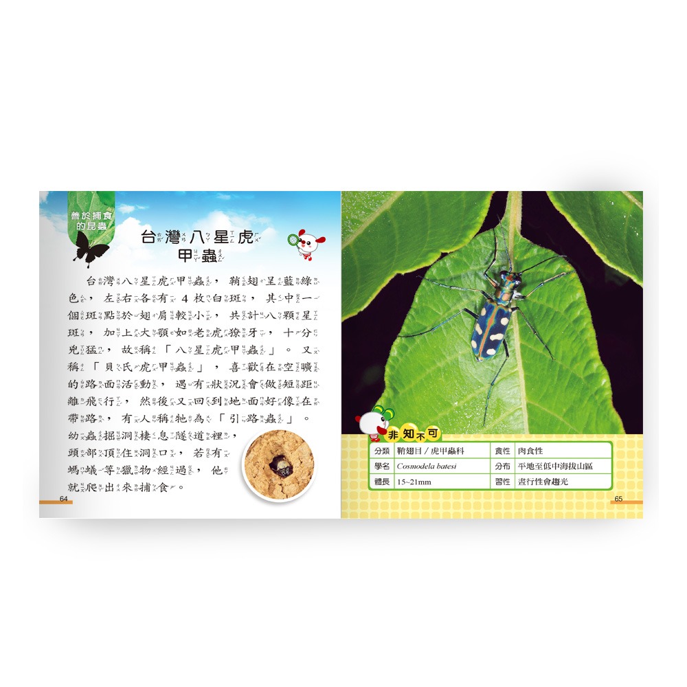 昆蟲小百科 B688011-1-細節圖5