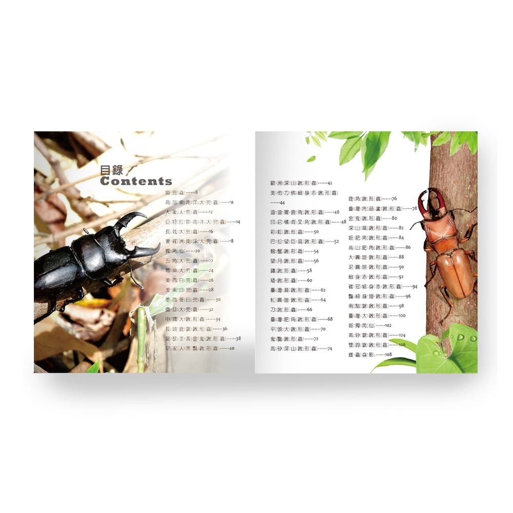 甲蟲小百科 B688010-1-細節圖3