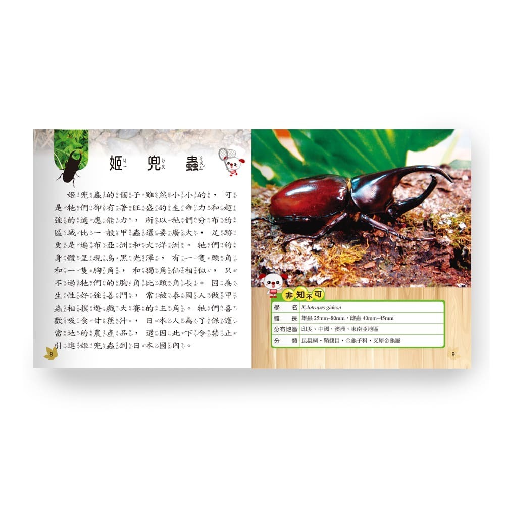 甲蟲小百科 B688010-1-細節圖4