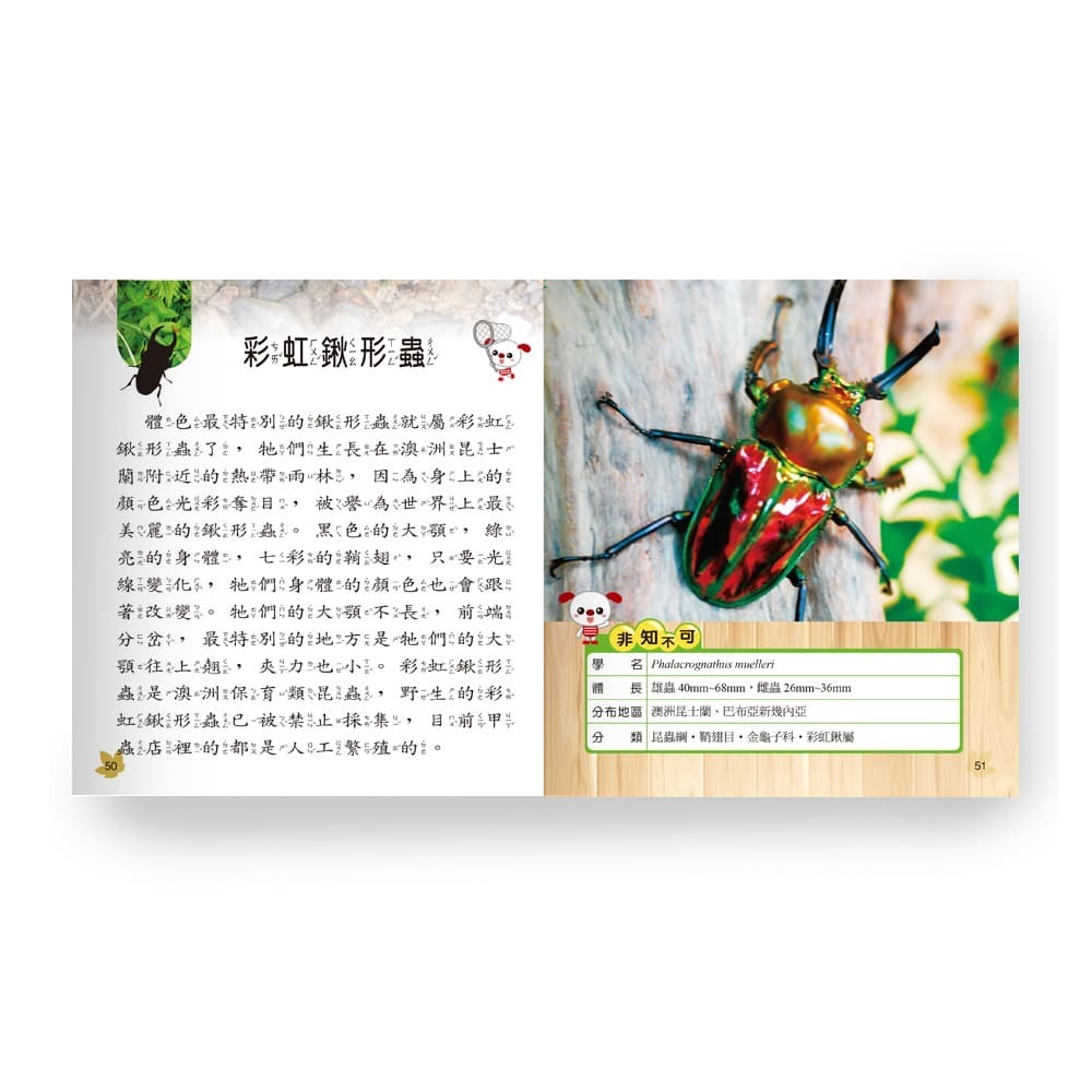 甲蟲小百科 B688010-1-細節圖5