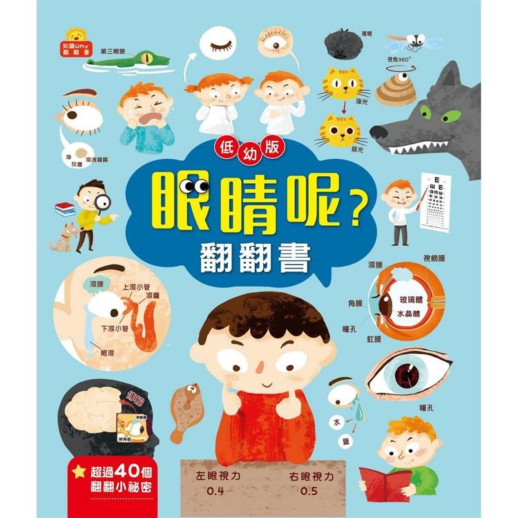 滿足孩子求知慾 大本翻翻書 (一套四冊)-細節圖4