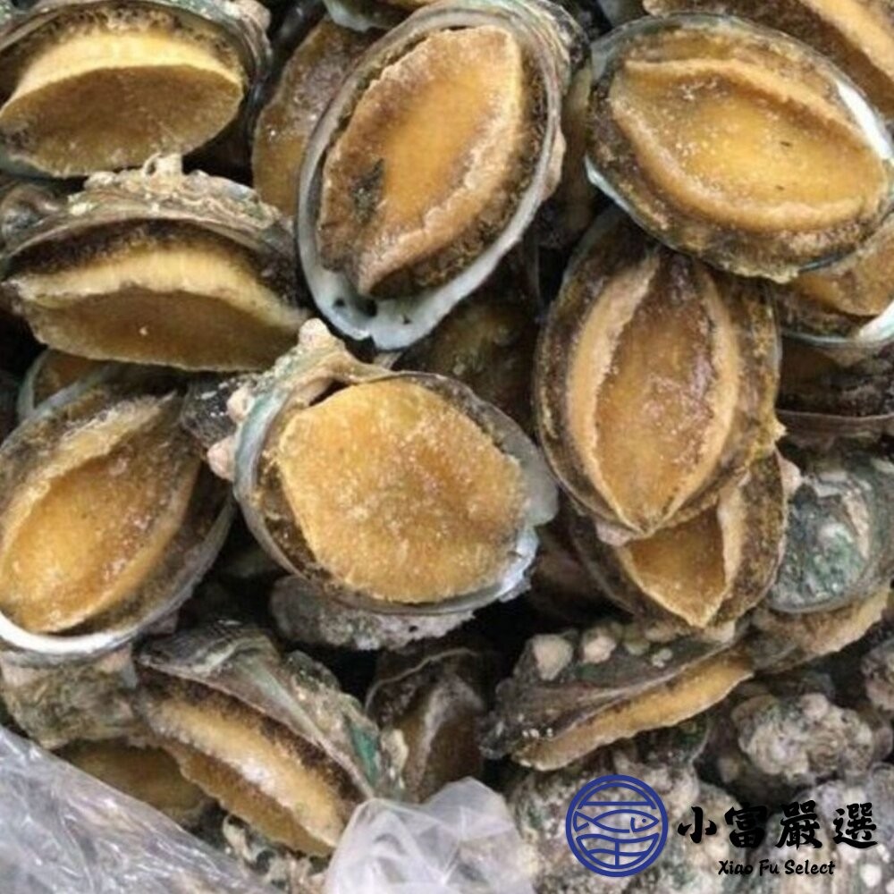 【小富嚴選】頂級帶殼鮑魚 有殼鮑魚 半殼鮑魚 24顆裝 (1000g/包) 冷盤 宴客 餐廳 鮑魚片-細節圖3