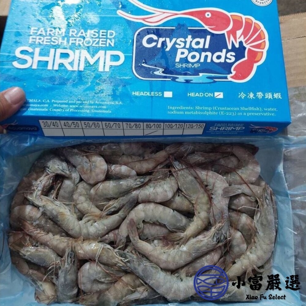 【小富嚴選】嚴選高品質白蝦 產地新鮮捕撈。紅太陽 (規格20/30/40/50/60/70/80/100/重量850g)-細節圖3