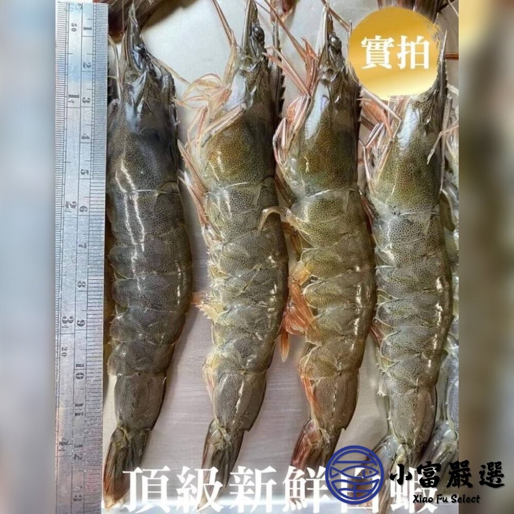 【小富嚴選】嚴選高品質白蝦 產地新鮮捕撈。紅太陽 (規格20/30/40/50/60/70/80/100/重量850g)-細節圖5