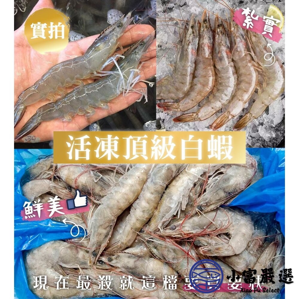 【小富嚴選】嚴選高品質白蝦 產地新鮮捕撈。紅太陽 (規格20/30/40/50/60/70/80/100/重量850g)-細節圖9