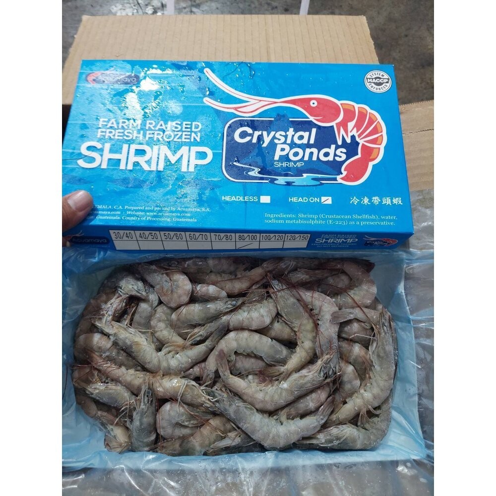 【小富嚴選】嚴選高品質白蝦 產地新鮮捕撈。紅太陽 (規格20/30/40/50/60/70/80/100/重量850g)-規格圖9