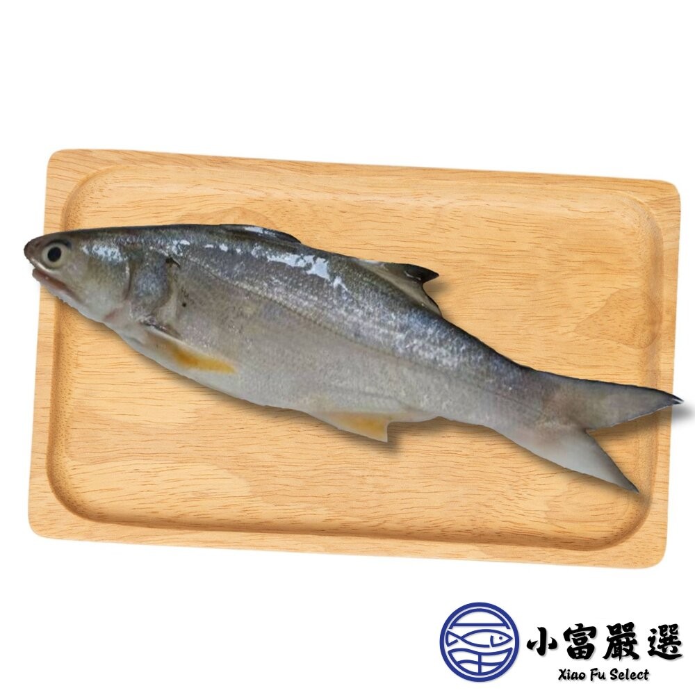 【小富嚴選】台灣午仔魚一夜干 (200-250g/大尾)-細節圖2