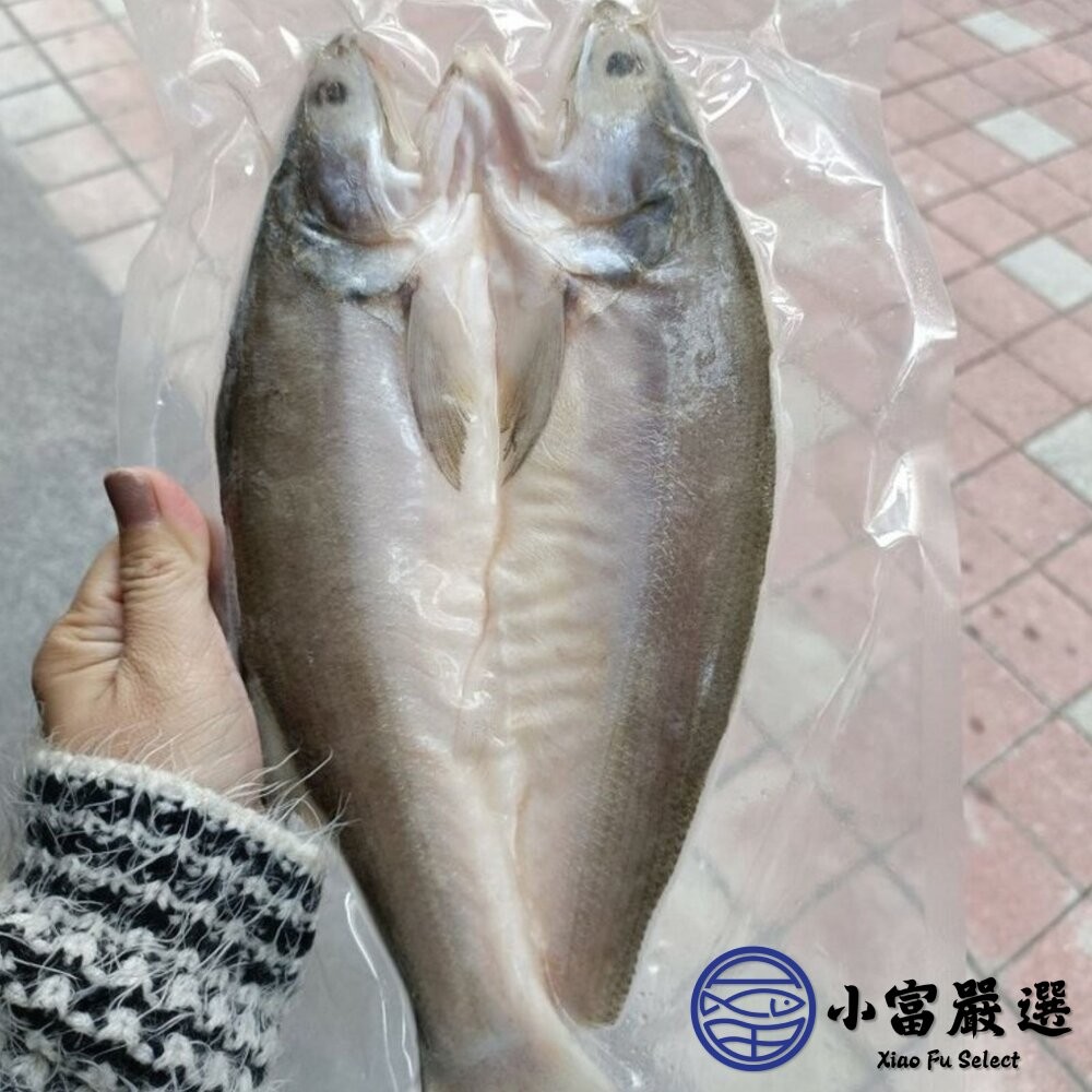 【小富嚴選】台灣午仔魚一夜干 (200-250g/大尾)-細節圖6