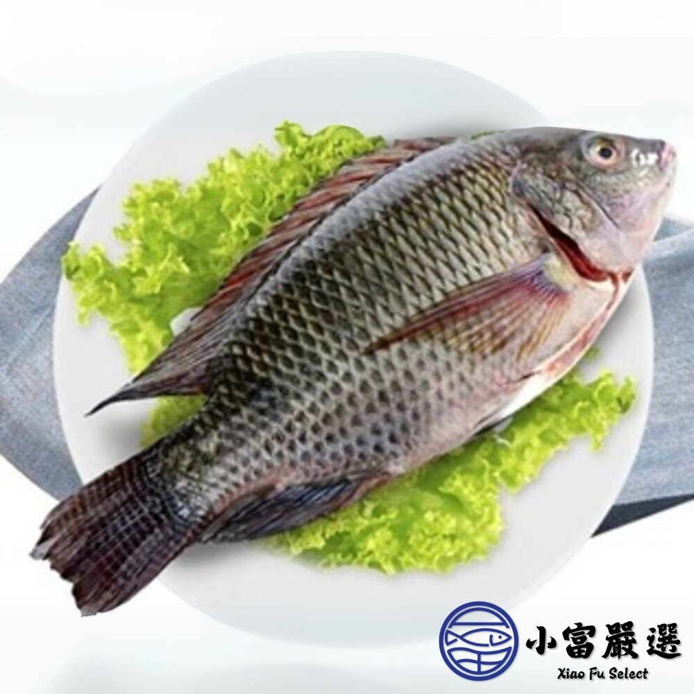 【小富嚴選】台灣鯛魚 吳三去郭魚整尾 三去台灣吳郭魚 台灣鯛 (10kg/約20尾) 去鱗去鰓去內臟 吳郭魚料理-細節圖3