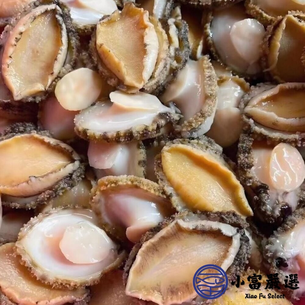 【小富嚴選】鮑魚清肉 鮑魚 海中珍寶 冷凍鮑魚 (1000g/包) 包冰20% 去殼鮑魚-細節圖6