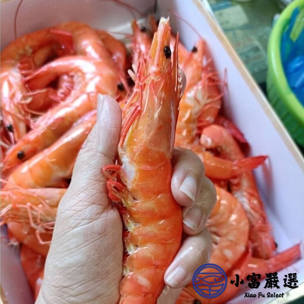【小富嚴選】出清 熟大白蝦 20/30 熟白蝦 超級大蝦 蝦肉Q彈 (1000g/包冰20%/盒)(2026.05.25-細節圖4