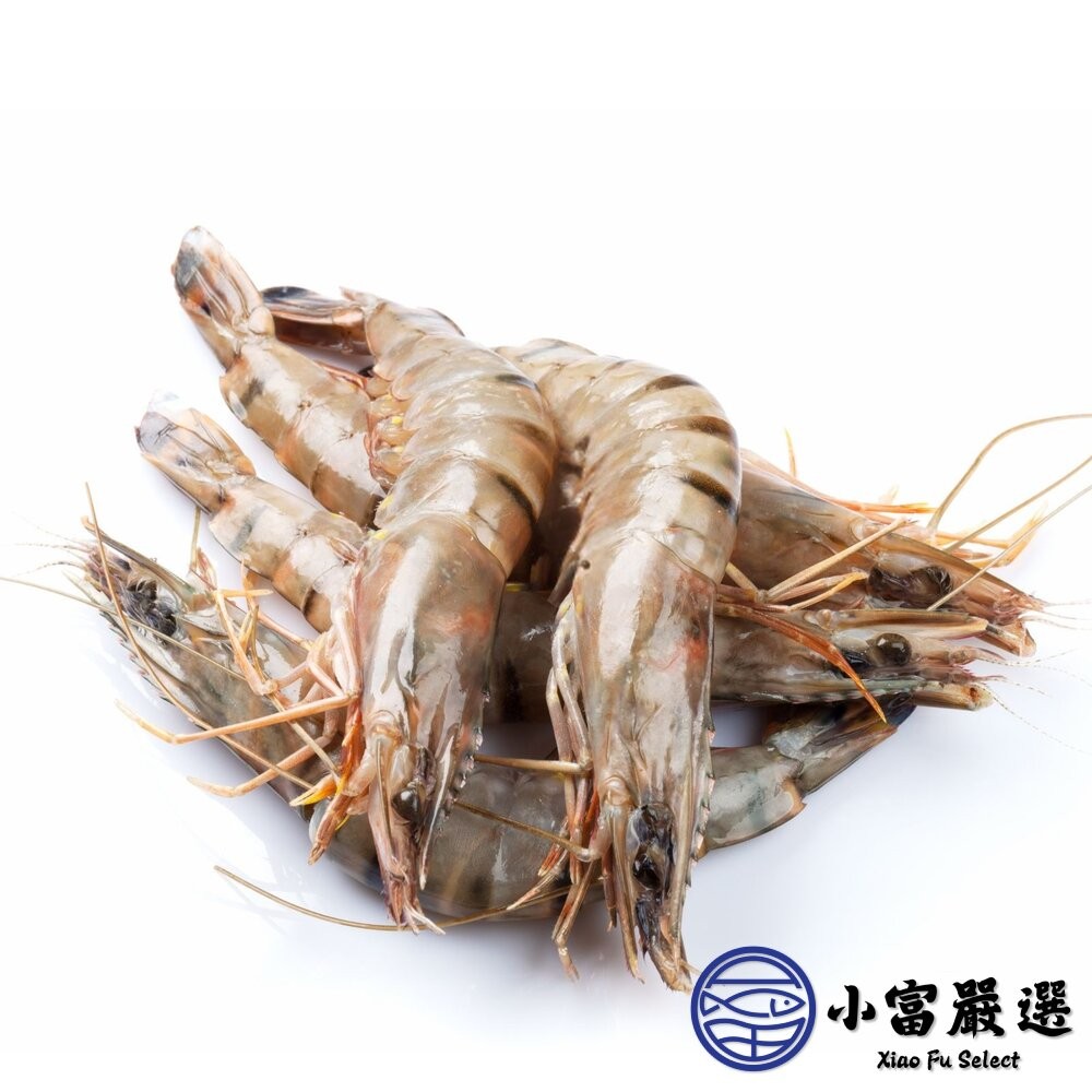 【小富嚴選】活凍頂級白蝦 生鮮蝦子 活凍白蝦  40/50 (巴拿馬/850g/盒) 生白蝦-細節圖2
