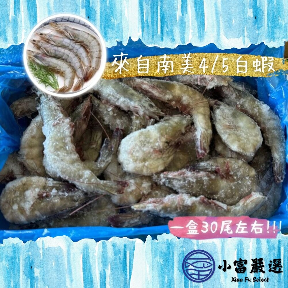 【小富嚴選】活凍頂級白蝦 生鮮蝦子 活凍白蝦  50/60 (巴拿馬/850g/盒) 生白蝦-細節圖5