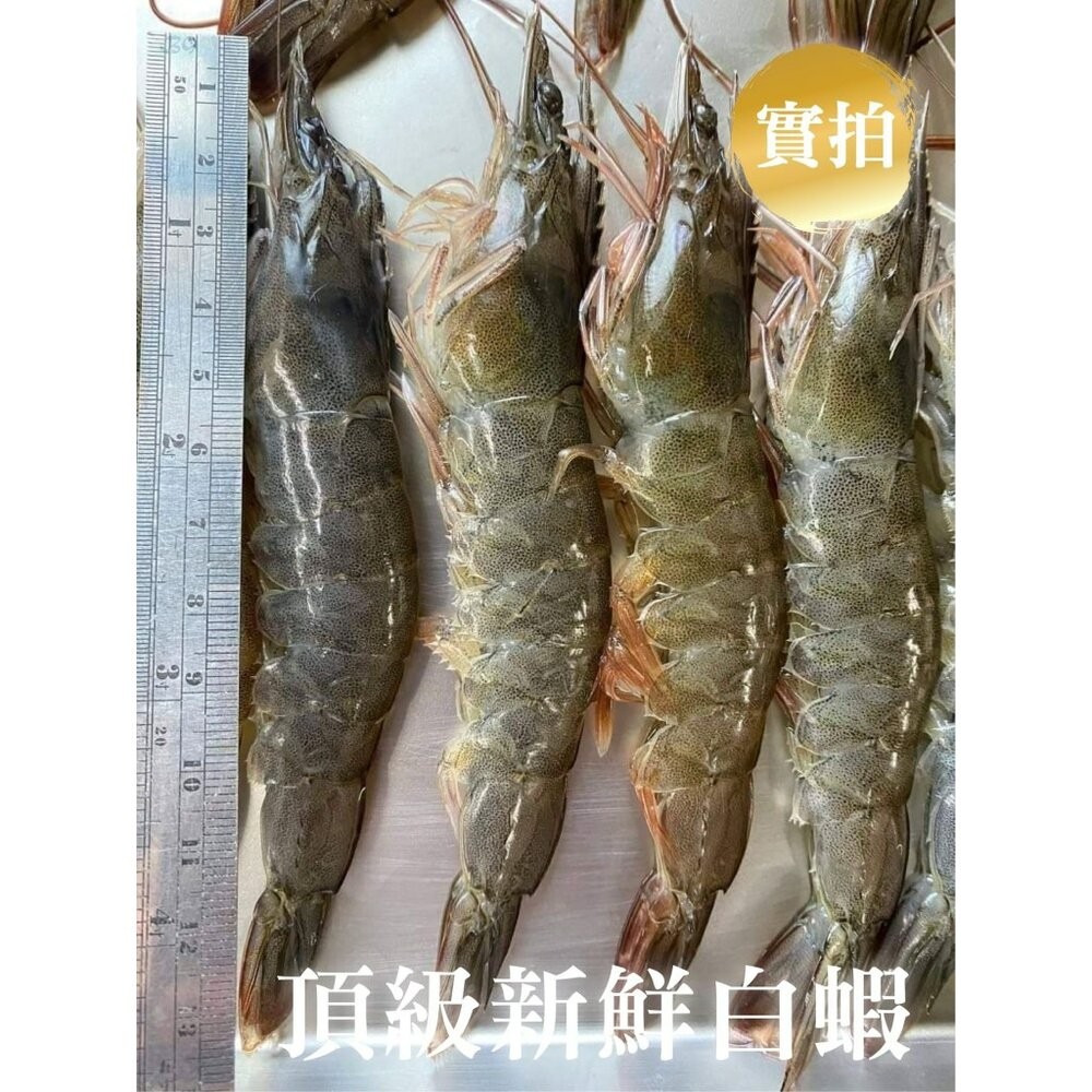 0629小富嚴選海鮮白蝦類-快樂蝦活凍頂級40/50白蝦850G 另有熟白蝦/舒肥雞胸/去骨雞腿/溏心蛋/牛排/豬排/骰-細節圖6