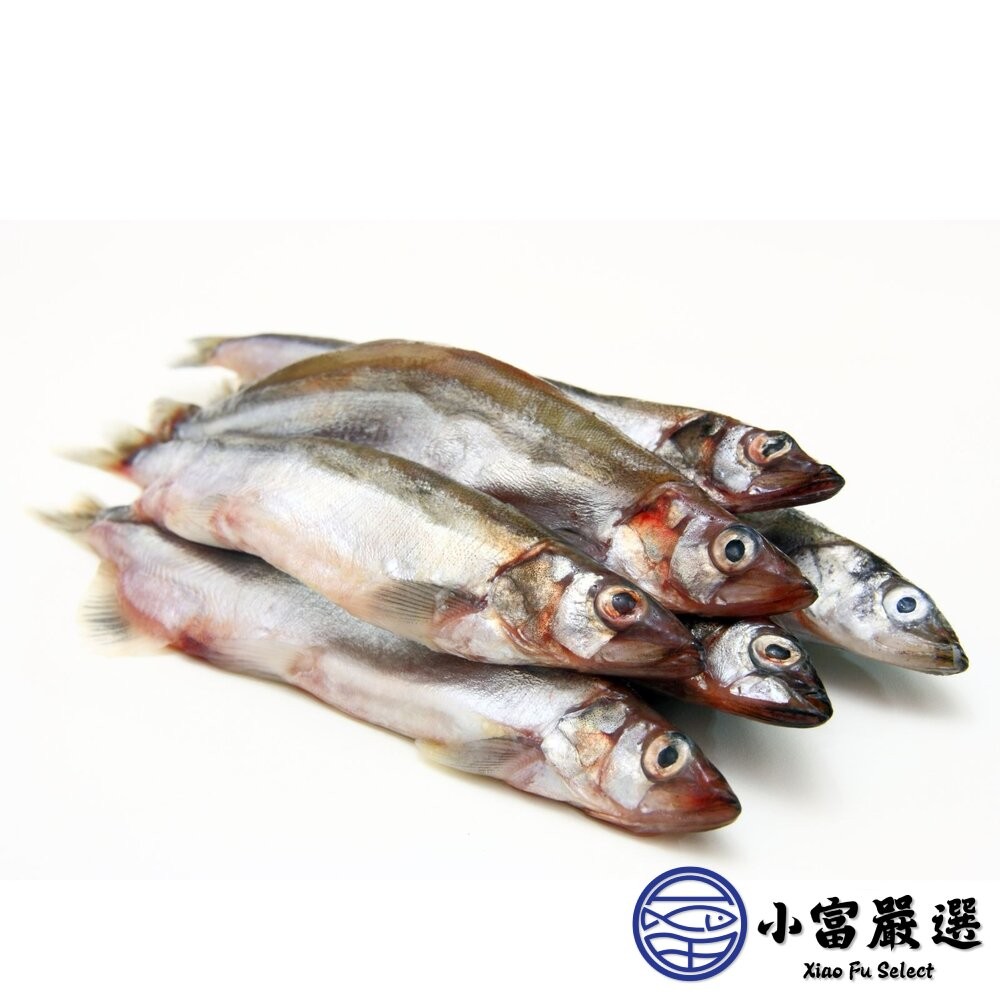 【小富嚴選】大規格爆卵柳葉魚 柳葉魚 生柳葉魚 鮮凍柳葉魚 (200g/包) 中蛋率極高 急速冷凍 燒烤 油炸 煎-細節圖2