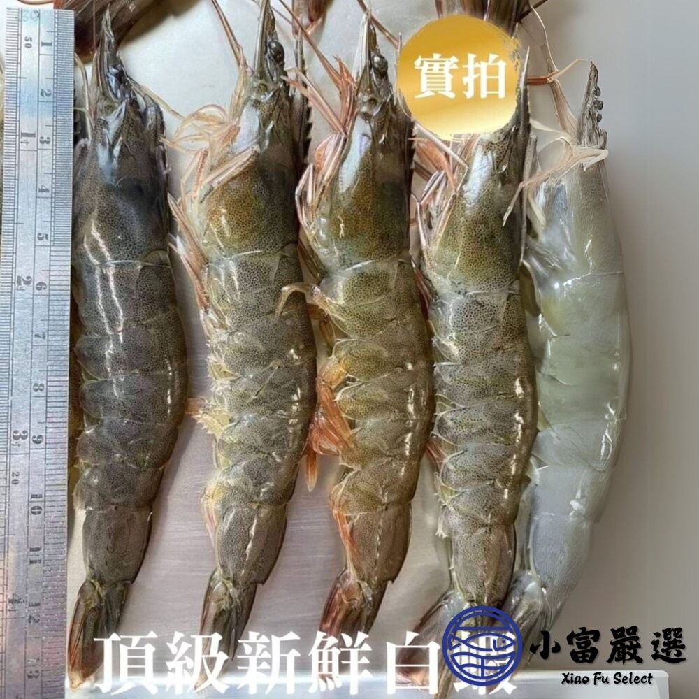 【小富嚴選】急速冷凍頂級白蝦 紅太陽 生白蝦 40/50(850g/盒) 鮮凍白蝦 海產 低脂高蛋白 熱炒-細節圖7