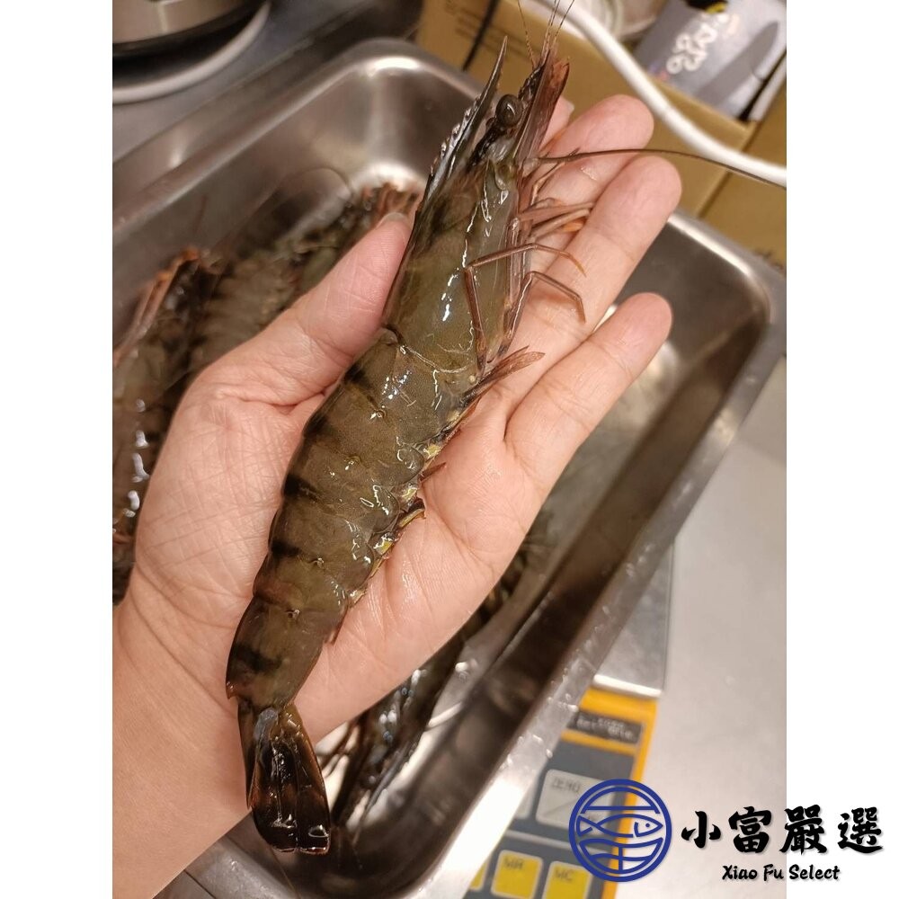 【小富嚴選】草蝦 活凍草蝦 生草蝦 生鮮草蝦 鮮凍大草蝦 (250g/盒10隻) 烤蝦 生白蝦 鹽酥蝦-細節圖6
