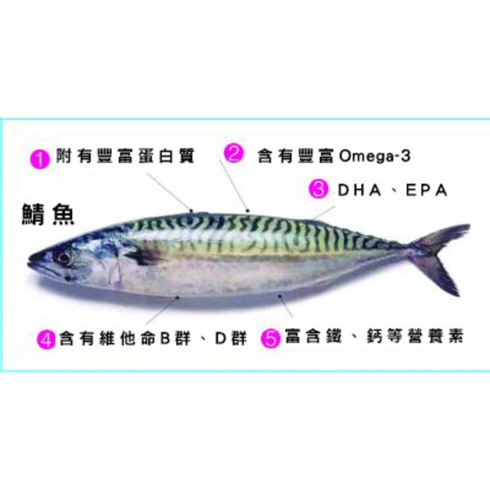 0254小富嚴選海鮮鯖魚類-頂級正挪威鯖魚不是B貨喔(正A級)(正挪威) 特價45元-細節圖5