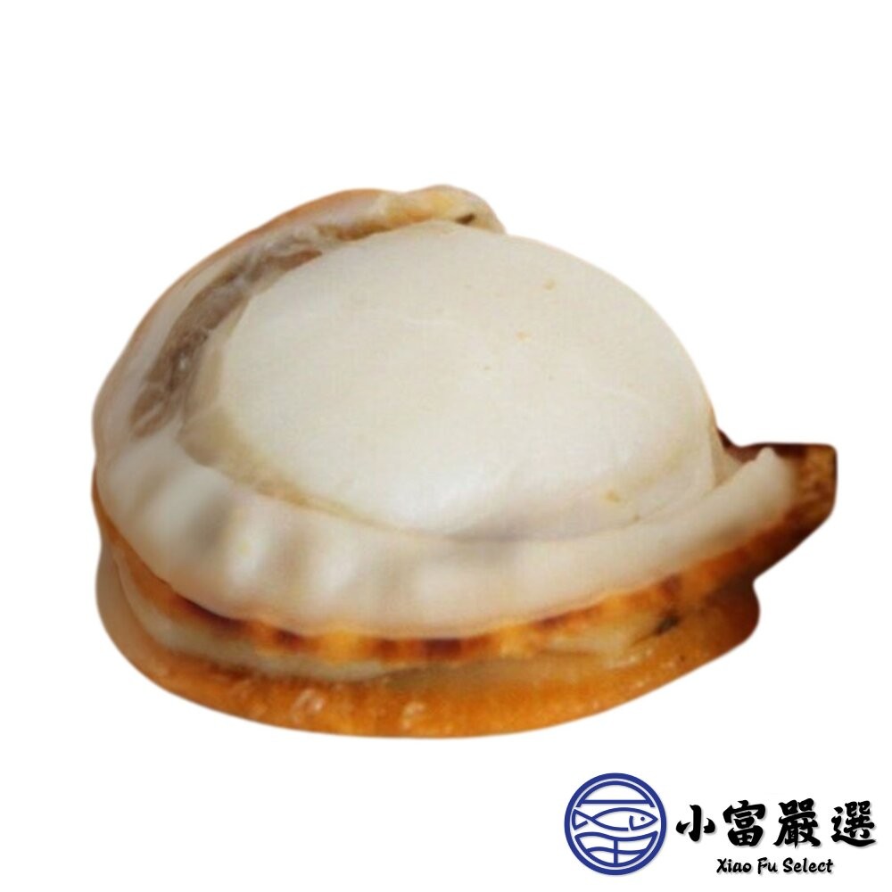 【小富嚴選】櫛孔帆立貝 扇貝肉 櫛孔貝 帆立貝 (1000g/包) 清蒸櫛孔貝 扇貝海鮮粥 海鮮火鍋配料-細節圖2