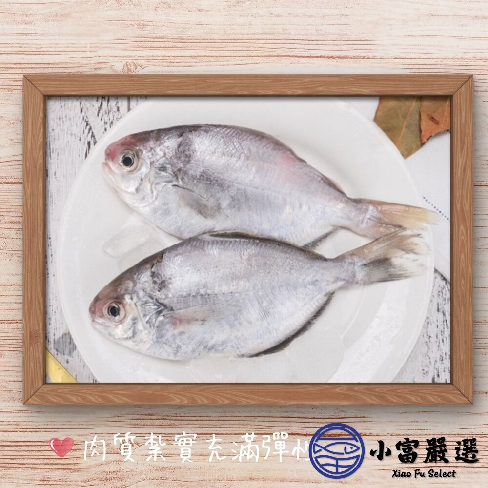 【小富嚴選】肉好多活冷新鮮肉魚 肉魚 肉鯧 肉鯽魚(380g/4隻) 家常菜 煎魚-細節圖6