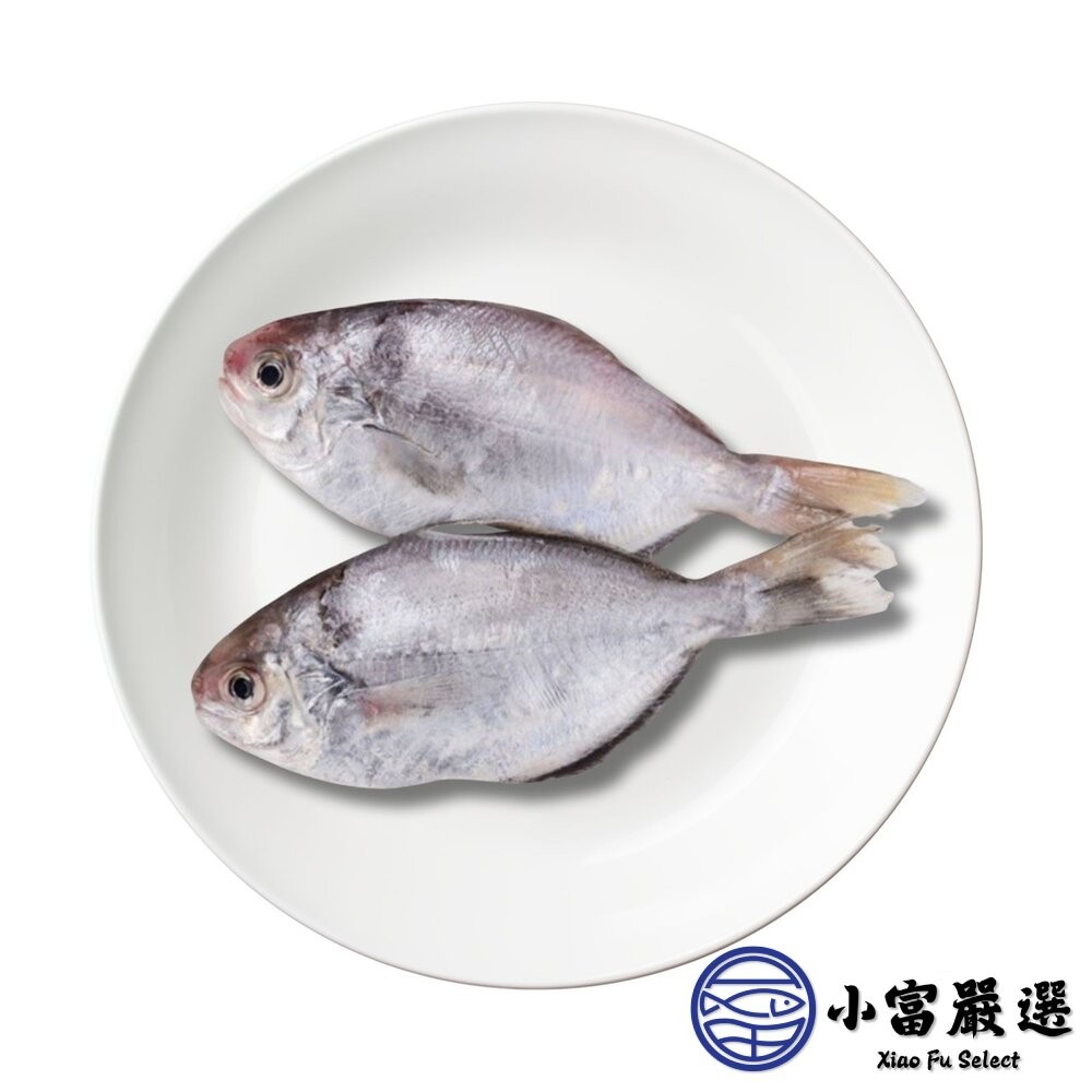 【小富嚴選】肉好多活冷新鮮肉魚 肉魚 肉鯧 肉鯽魚(380g/4隻) 家常菜 煎魚-細節圖2
