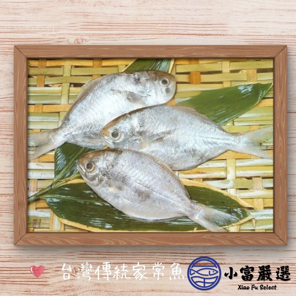 【小富嚴選】肉好多活冷新鮮肉魚 肉魚 肉鯧 肉鯽魚(380g/4隻) 家常菜 煎魚-細節圖5