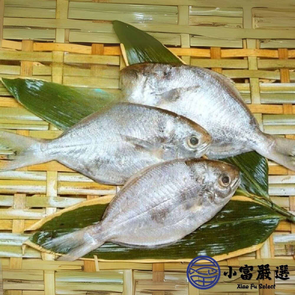 【小富嚴選】肉好多活冷新鮮肉魚 肉魚 肉鯧 肉鯽魚(380g/4隻) 家常菜 煎魚-細節圖3