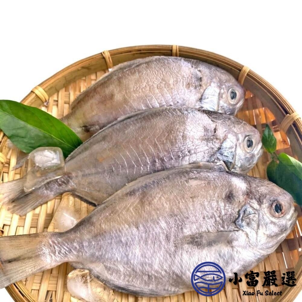 【小富嚴選】肉好多活冷新鮮肉魚 肉魚 肉鯧 肉鯽魚(380g/4隻) 家常菜 煎魚-細節圖4