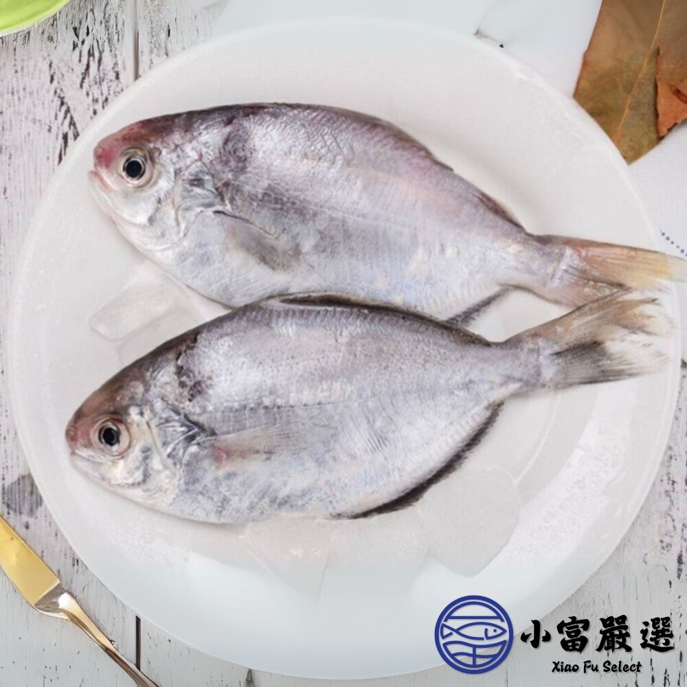 【小富嚴選】肉好多活冷新鮮肉魚 肉魚 肉鯧 肉鯽魚(380g/4隻) 家常菜 煎魚-細節圖5