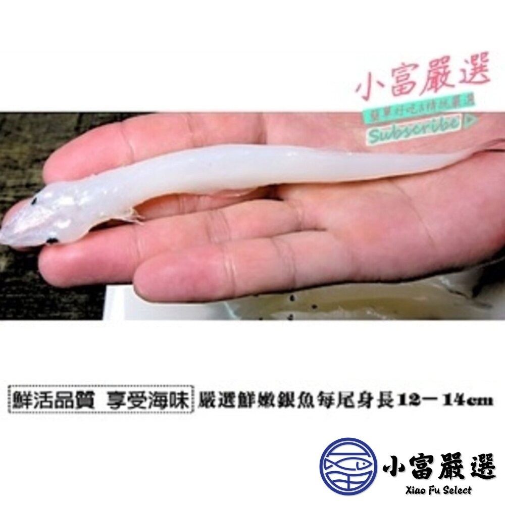 【小富嚴選】活凍銀魚 水晶魚 銀魚 銀白魚 銀白吻魚 (300g/包)-細節圖3