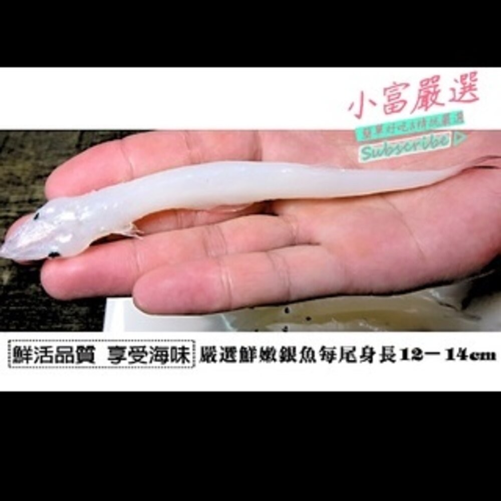 0259小富嚴選海鮮其他魚類-活凍銀魚-水晶魚300克特價168 另有/鴨肉/鵝肉/舒肥雞胸/去骨雞腿/鴨翅/溏心蛋/水-細節圖2